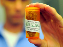 Pot Law Could Land Oakland City Council in Jail: DA